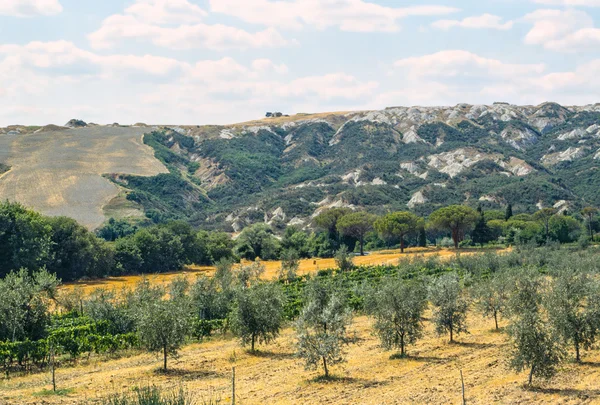 Валь d'Orcia (Тоскана ) — стокове фото