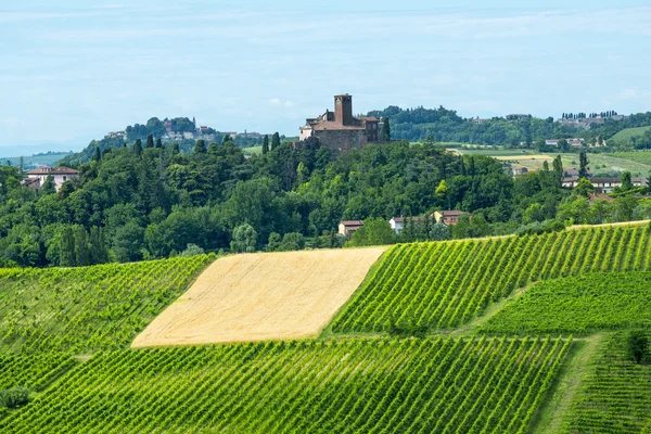 Monferrato (Włochy) — Zdjęcie stockowe