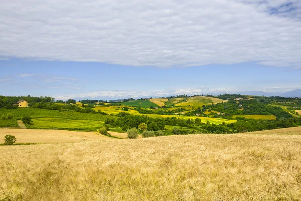 Monferrato (意大利) — 图库照片