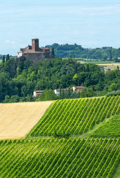 Monferrato (Włochy) — Zdjęcie stockowe