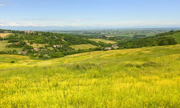 Monferrato (Itálie) — Stock fotografie