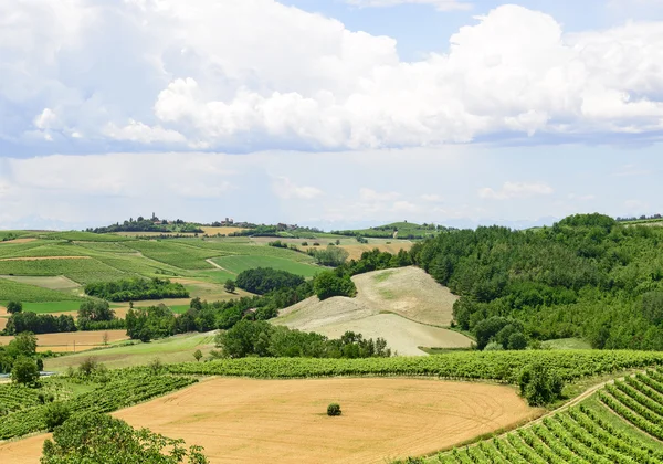 Monferrato (italien) — Stockfoto