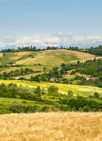 Monferrato (Italië) — Stockfoto