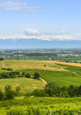 Manzara Monferrato (İtalya)