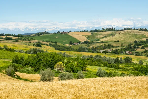 Monferrato (İtalya) — Stok fotoğraf