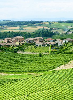 Monferrato (İtalya)