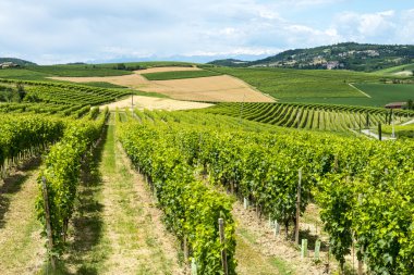 Monferrato (İtalya)