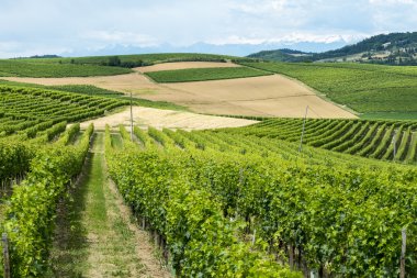 Monferrato (İtalya)