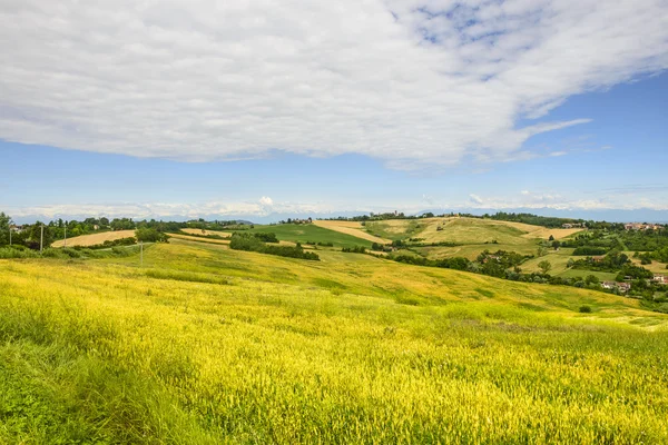 Monferrato (Italy) — Stock Photo, Image