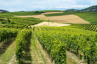 Monferrato (İtalya)