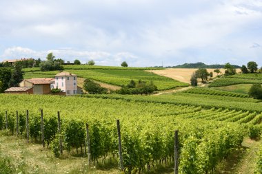 Monferrato (İtalya)