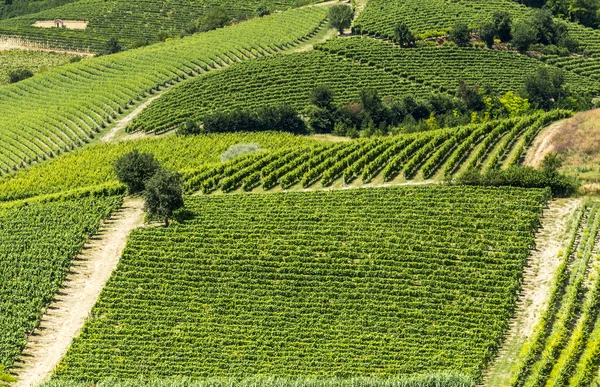 Monferrato (Italia) ) — Foto Stock