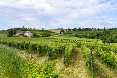 Monferrato (İtalya)