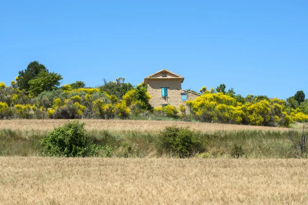 Plateau de valensole (provence), dům — Stock fotografie