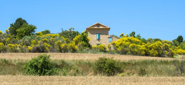 Plateau de valensole (provence), a ház — Stock Fotó