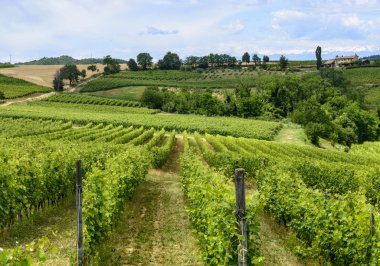 Monferrato (İtalya)