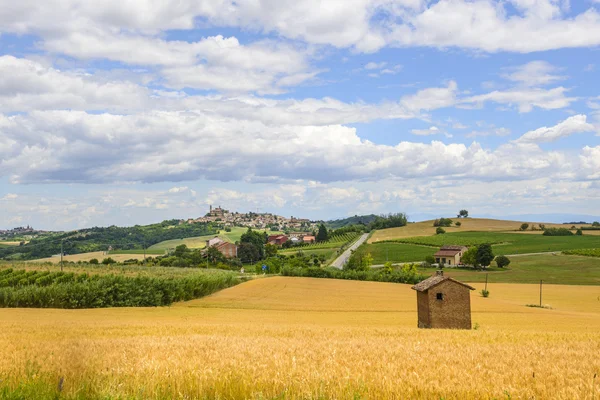 Monferrato (Italien) — Stockfoto