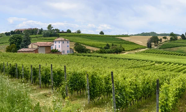 Monferrato (Itálie) — Stock fotografie