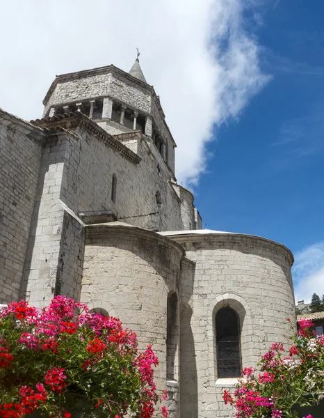 Sisteron, citadelle och katedralen — Stockfoto