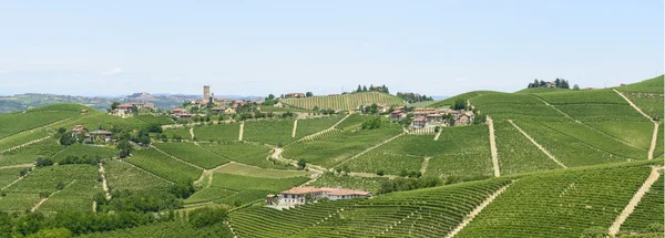 Langhe, vingårdar — Stockfoto
