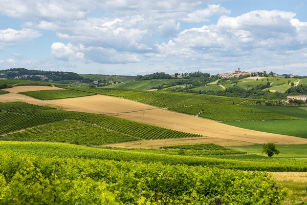 Monferrato (Itália) ) — Fotografia de Stock