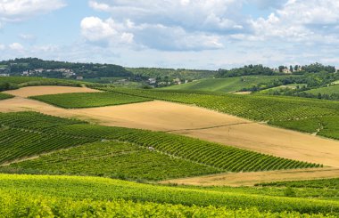 Monferrato (İtalya)