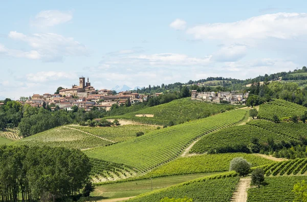 Monferrato (Italy) — Stock Photo, Image