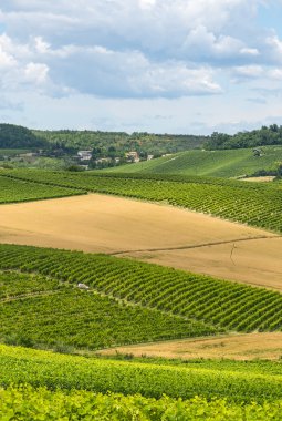 Monferrato (İtalya)