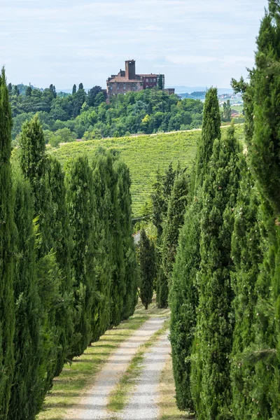 Monferrato (Włochy) — Zdjęcie stockowe