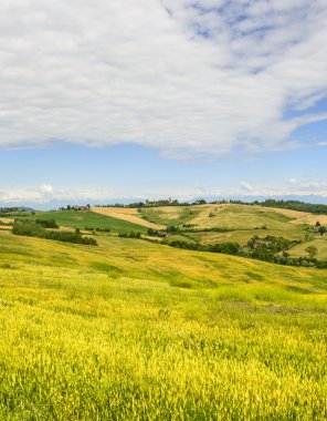Monferrato (İtalya)