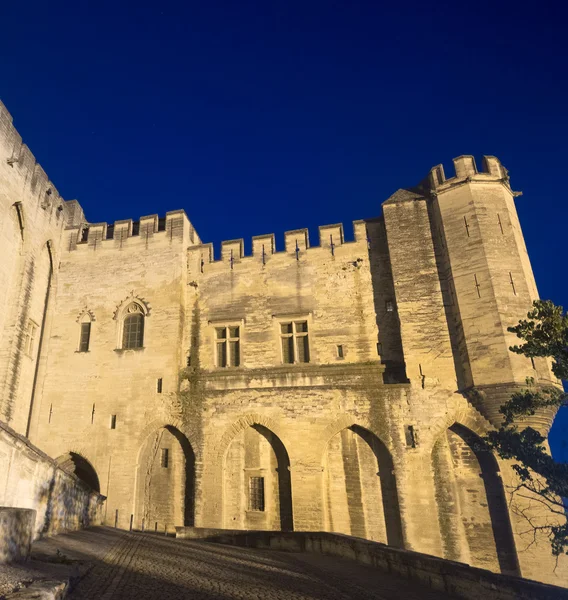 Avignon, Palais des Papes ночью — стоковое фото