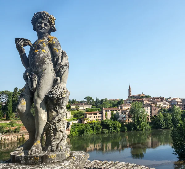 Albi, vue panoramique — Photo