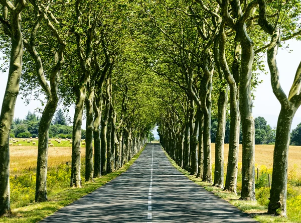 Carretera cerca de Carcasona (Francia ) — Foto de Stock