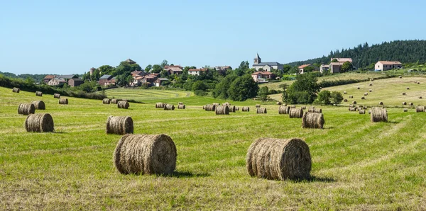 Country landscape in Aveyron (France) — Stock Photo, Image