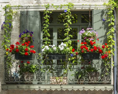 Uzes (Fransa)