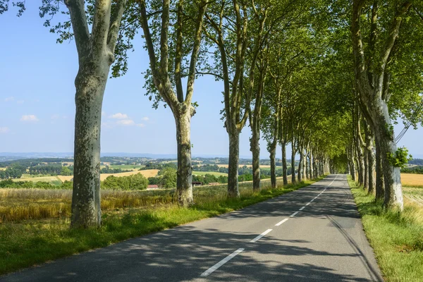 Straße in der Nähe von Castres (Frankreich) — Stockfoto