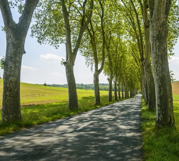 Road nära albi (Frankrike) — Stockfoto