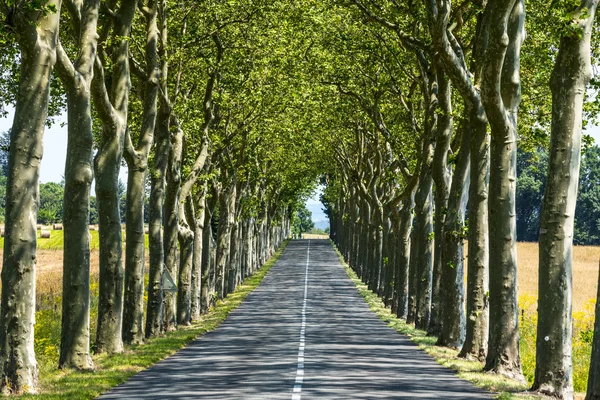 Silnice poblíž Carcassonne (Francie) — Stock fotografie