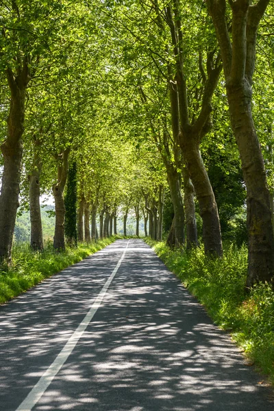 Road nära albi (Frankrike) — Stockfoto