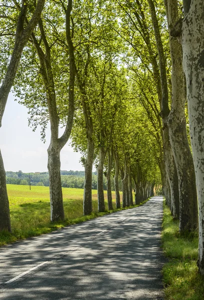 Silnice poblíž albi (Francie) — Stock fotografie