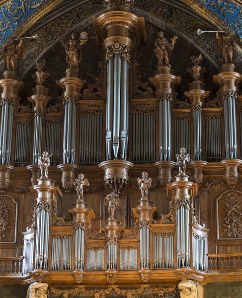 Albi (France), orgue cathédrale — Photo