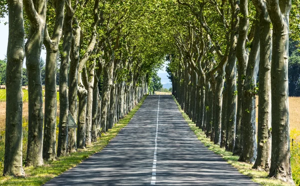 Estrada perto de Carcassonne (França ) — Fotografia de Stock