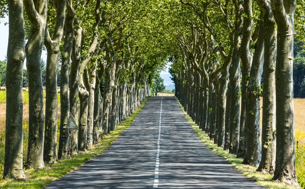 カルカソンヌ (フランスの近くの道路) — ストック写真