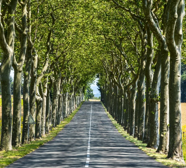 Weg in de buurt van carcassonne (Frankrijk) — Stockfoto