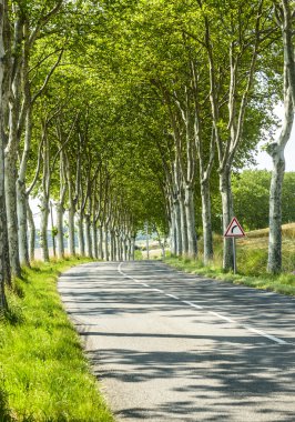 Road near Castres (France) clipart