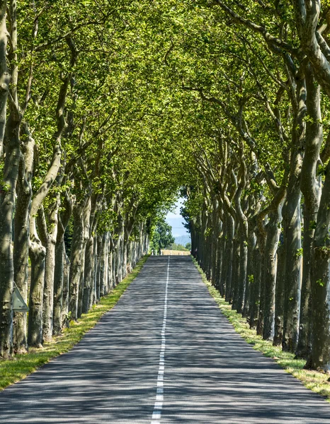 カルカソンヌ (フランスの近くの道路) — ストック写真