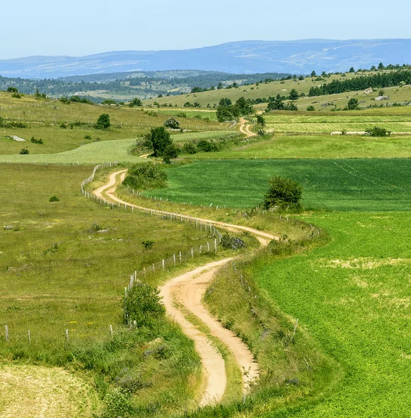 Country path in the Lozere mountains — Stock Photo, Image