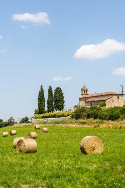 Campo cerca de Albi (Francia ) — Foto de Stock