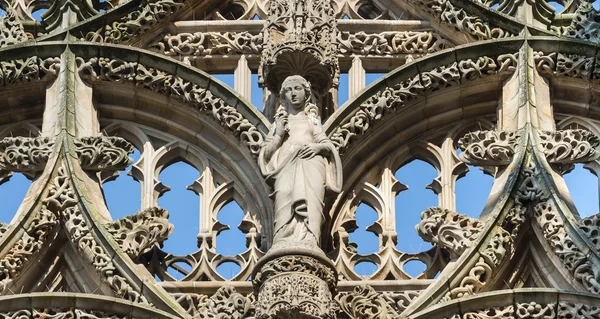 Albi (Francia), cattedrale — Foto Stock