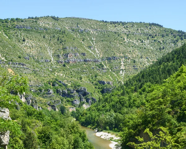 Gorges du Tarn — Stockfoto